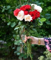 Iran_HMA's tweet photo. #پاينده_ایران  #فوری #زنده_باد_مشروطه  اصلاح طلبی راهی که درساختار مافیا محوراقلیت حاکم غیر ممکن بود ومامیگفتیم ولی عده ای هنوز نمیخواستند باورکنند یکباربرای همیشه مرد وماملت ایران راهمان روشنتر ومتفق ترشدیم. https://t.co/ZprppWCBDT