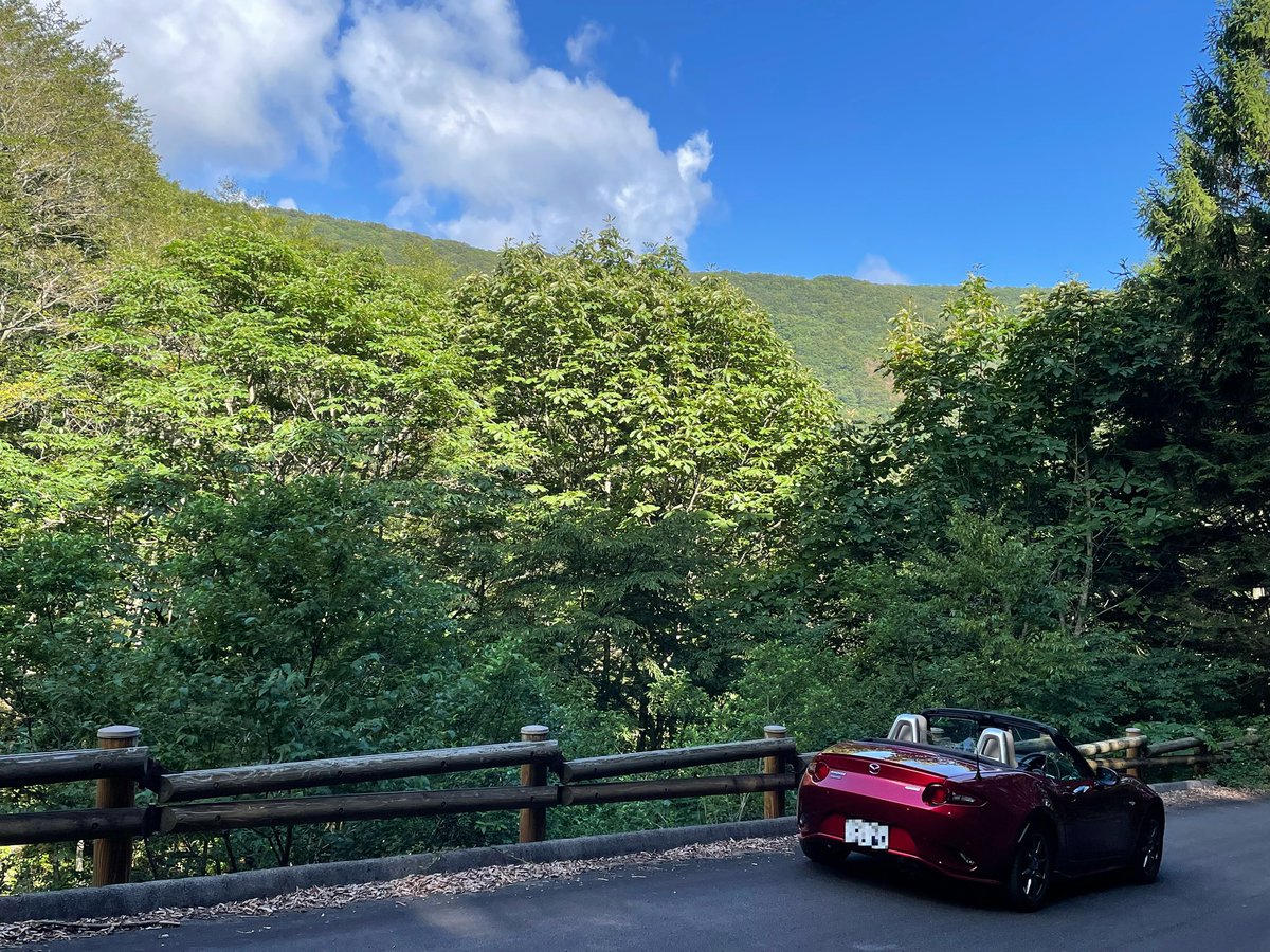 RedOutposts's tweet image. 山の日は山へ⛰️
下界と違って上は26度でした😊