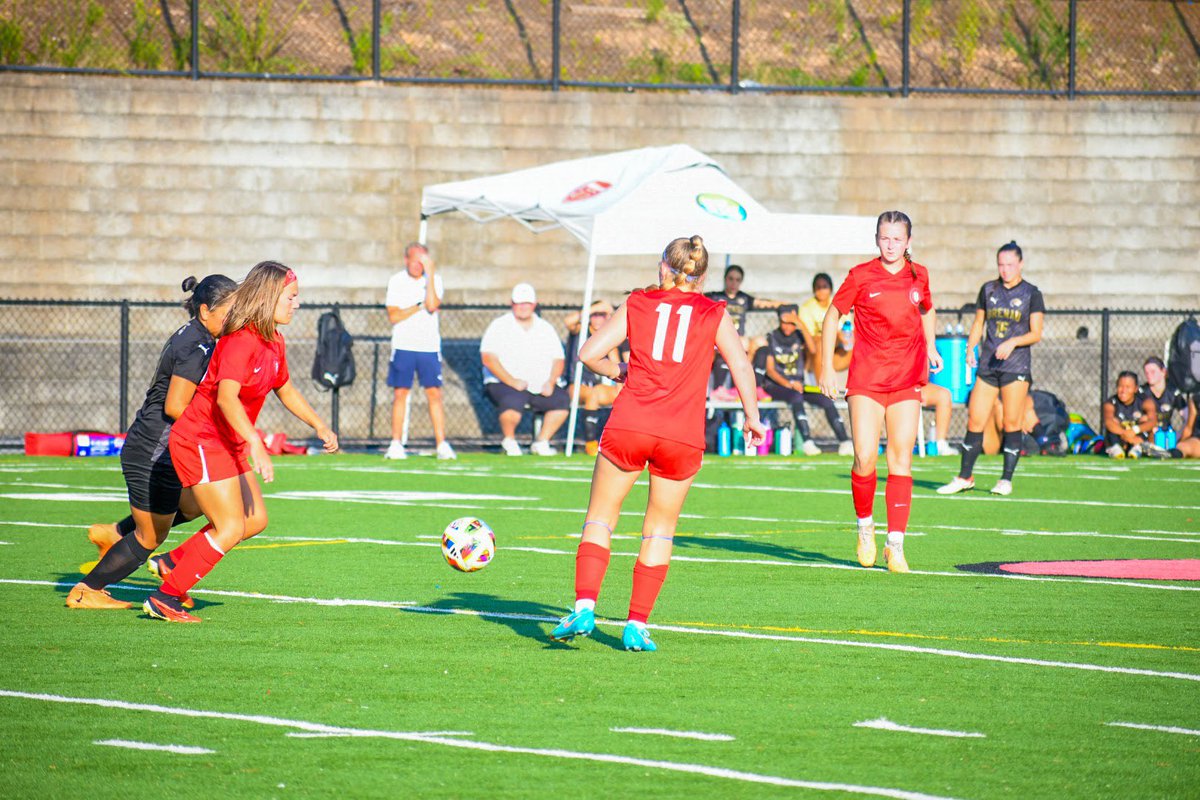 Mackenzie Sousa tweet media