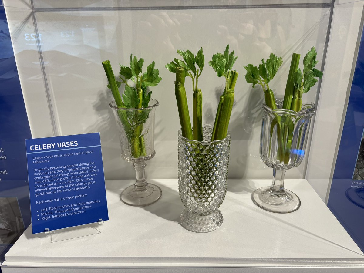 Honzy13 🇨🇦 🇵🇱 (@jhcba123) on Twitter photo Look what I found today at a local museum in Canada. Michigan wasn’t the only place growing celery back in the day. <a href="/TheSporkful/">Dan Pashman isn't on here anymore</a> Look what I found today at a local museum in Canada. Michigan wasn’t the only place growing celery back in the day. <a href="/TheSporkful/">Dan Pashman isn't on here anymore</a>