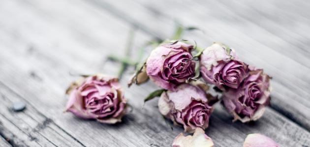 أقول لهم وقد جدّ الفراق رويدَكم فقد ضاق الخِناقُ رحلتم بالبدور وما رحِمتم مَشُوقاً لا يبوح له اشتياق فقلبي فوق رؤوسكم مطار ودمعي تحت أرجلكم مراق أقال الله من قود لحاظاً دماء العاشقين بها تراق وأبقى أعيُناً للغيد سوداً ولو نُسيتْ بها البيض الرّقاق

#ملك