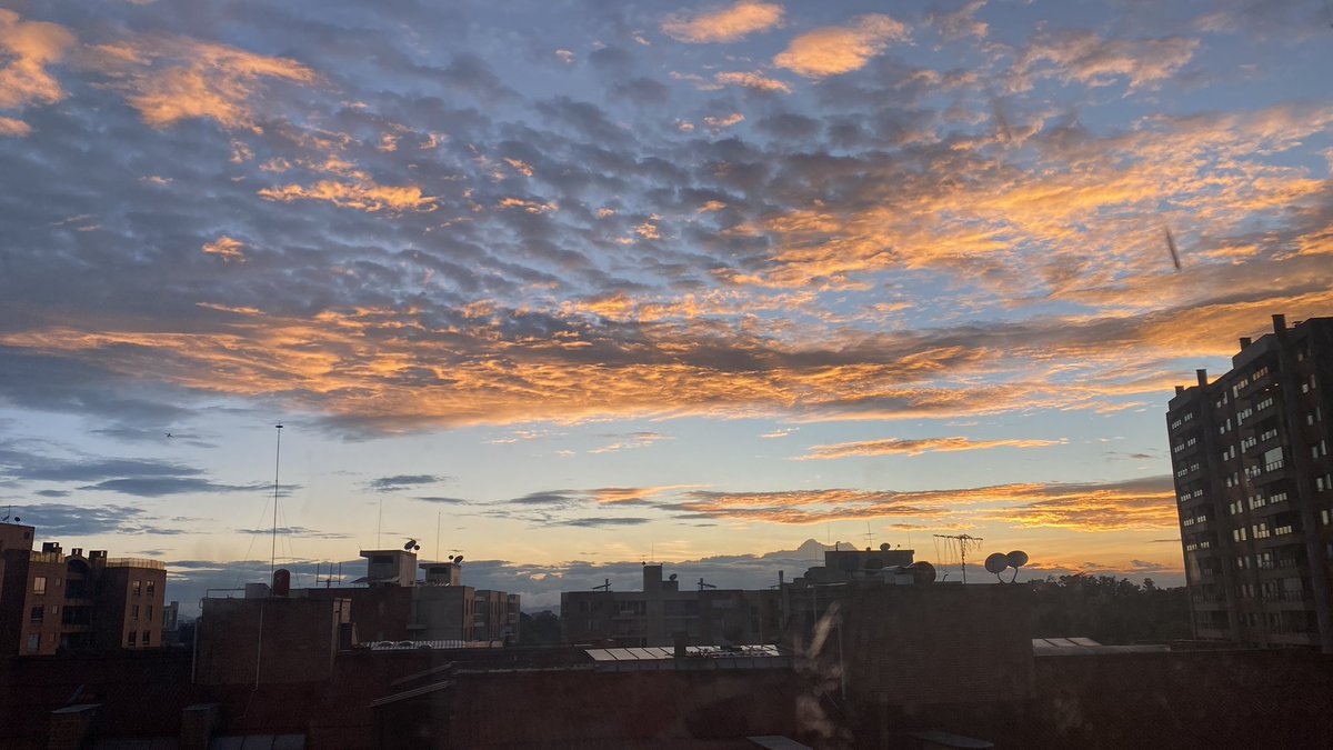 Cuando Bogotá tiene un toque de Monet!! #Monet #Bogota