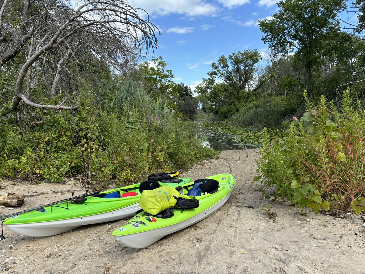 Kaladin72's tweet photo. Going heroic dose tonight.
On a little island in the Detroit river.
Kayaking to get there, spending the night.  Wish me luck.
#psychedelics #meetingtheuniversetonight #Perseid https://t.co/dt87BnUrtK