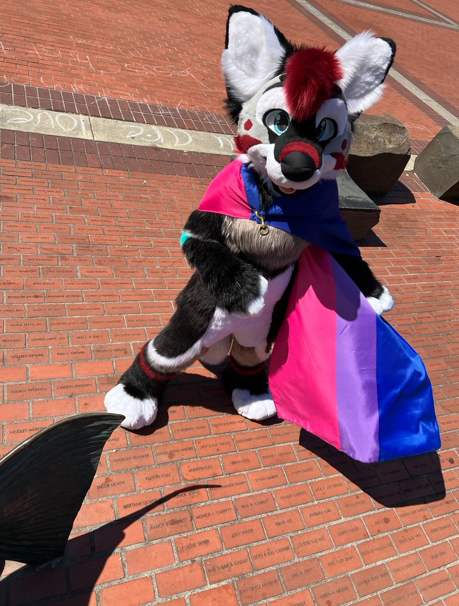 pasteldogteeth's tweet image. howdy!! I’m TJ (also Halu n Kuma,) a PNW born n raised furry and artist. I’ve been in the fandom for 10+ years, an artist the entire time, and a fursuit maker as of recently c: 

other places you can find me;
IG: pasteldogteeth
Discord/Telegram/BSky: puppybutter

have a rad day💞