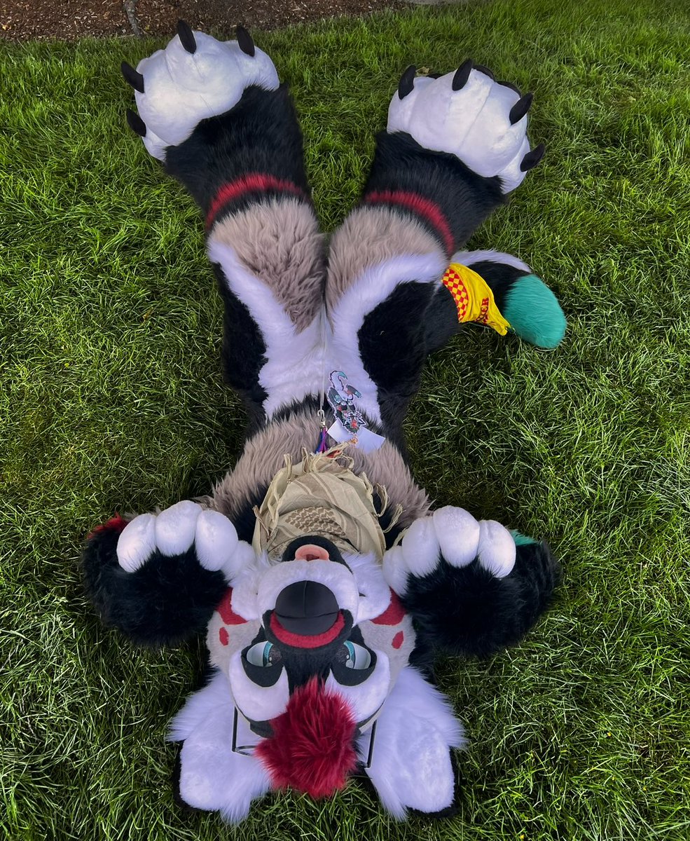 pasteldogteeth's tweet image. howdy!! I’m TJ (also Halu n Kuma,) a PNW born n raised furry and artist. I’ve been in the fandom for 10+ years, an artist the entire time, and a fursuit maker as of recently c: 

other places you can find me;
IG: pasteldogteeth
Discord/Telegram/BSky: puppybutter

have a rad day💞