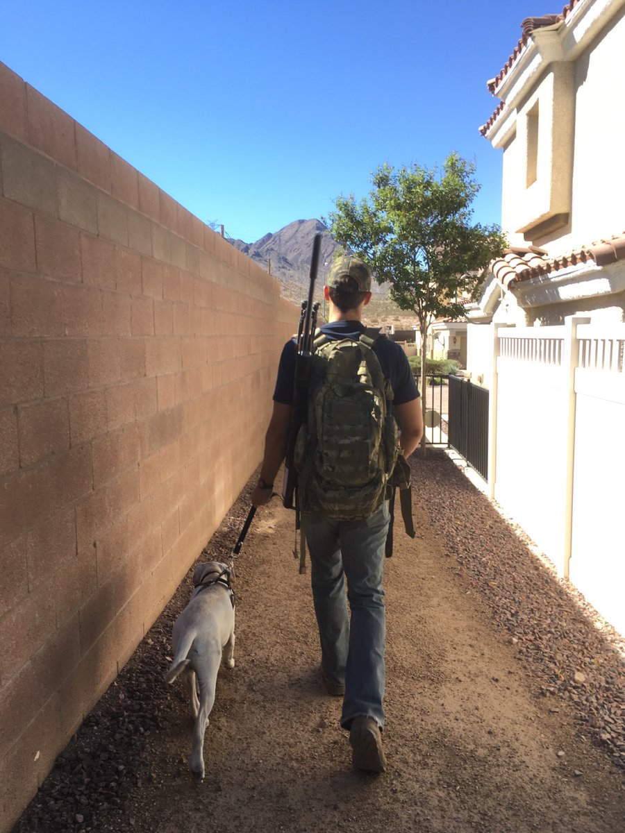 MilesPlannette's tweet photo. Bird dogs don’t discriminate. Even a dirty city pigeon will do. https://t.co/KICFMXyene