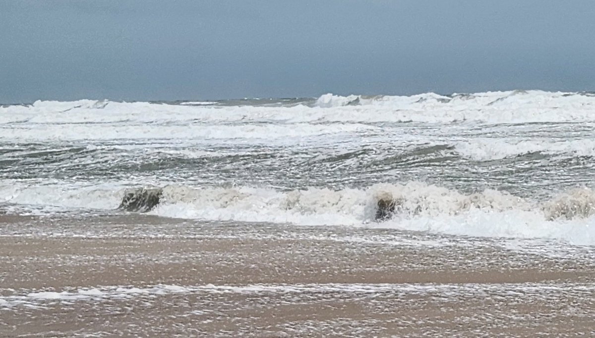 SailorsChild's tweet photo. It's much calmer today, still places flooded from #Debby. We kept power on the island but went out at home. 🤦Don't want to leave, reality calls. # Topsail NTB https://t.co/fAYkOuvjTN