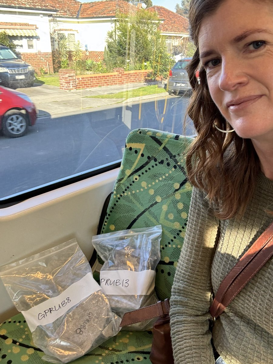 When in Melbourne I like to treat my precious rocks to a tram ride 🚃🪨
#PetRox #NorthcoteFieldTrip