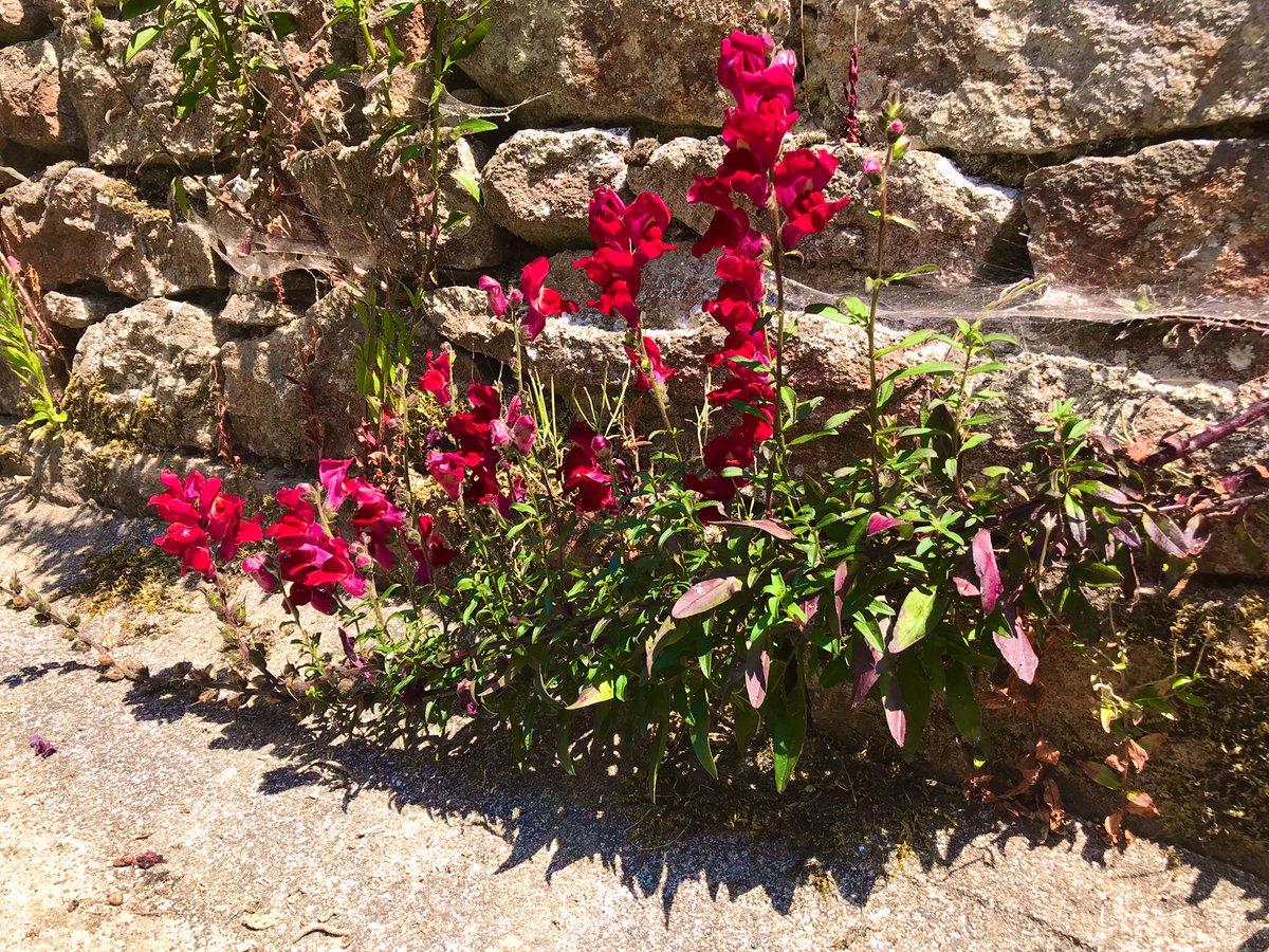 Maurice Backerra tweet media