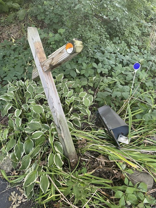 Wayne A. Thorp, CFA tweet media