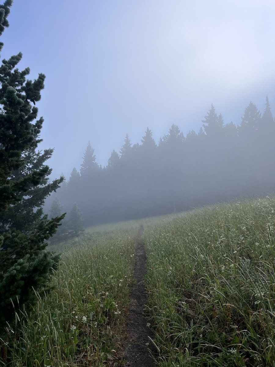 lmjacks2's tweet photo. more pics of fog/the peak (feat. maya the dog, met at the summit) https://t.co/KiYnKGZlAj