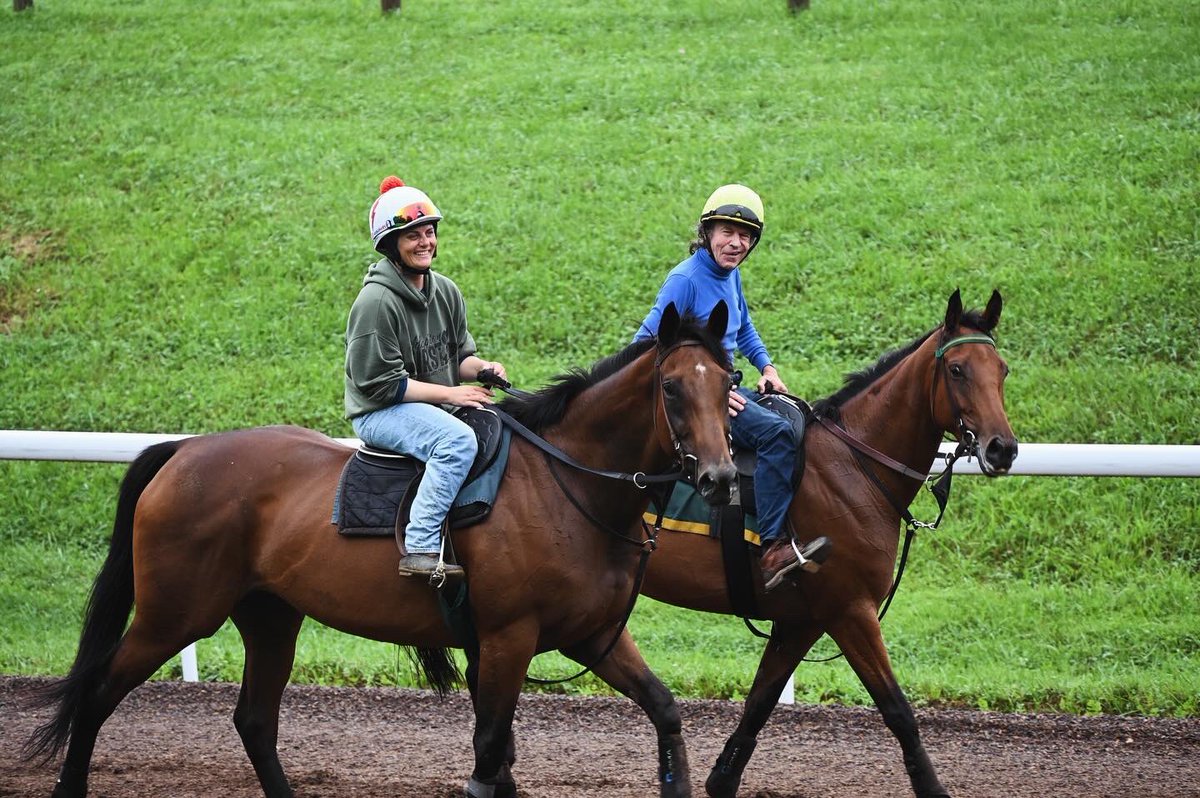 Ashwell Stable, LLC tweet media