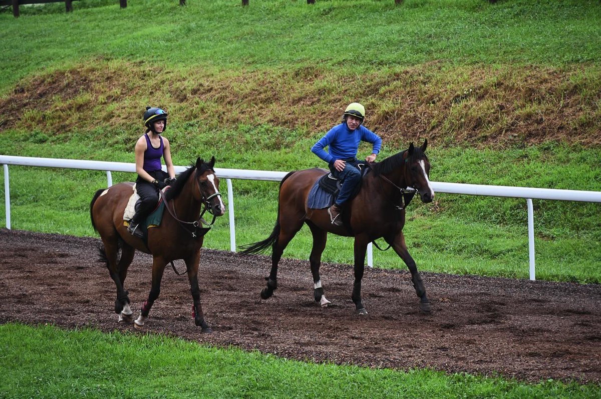Ashwell Stable, LLC (@ashwellstable) on Twitter photo Team Ashwell heads
down to <a href="/ColonialDowns/">Colonial Downs Racetrack</a>
With ✨MY FOREVER ANNIE✨
and 💞GETBACKSHADRACK💞
for the Fillies & Mares Stake
Also with 💯KENILWORTH KING💯
in the Maiden and
🤝TWO PAST EIGHT🤝
in the 115 and down
🍀Best of luck team!🍀
#HorseRacing #horsetips #racehorses Team Ashwell heads
down to <a href="/ColonialDowns/">Colonial Downs Racetrack</a>
With ✨MY FOREVER ANNIE✨
and 💞GETBACKSHADRACK💞
for the Fillies & Mares Stake
Also with 💯KENILWORTH KING💯
in the Maiden and
🤝TWO PAST EIGHT🤝
in the 115 and down
🍀Best of luck team!🍀
#HorseRacing #horsetips #racehorses