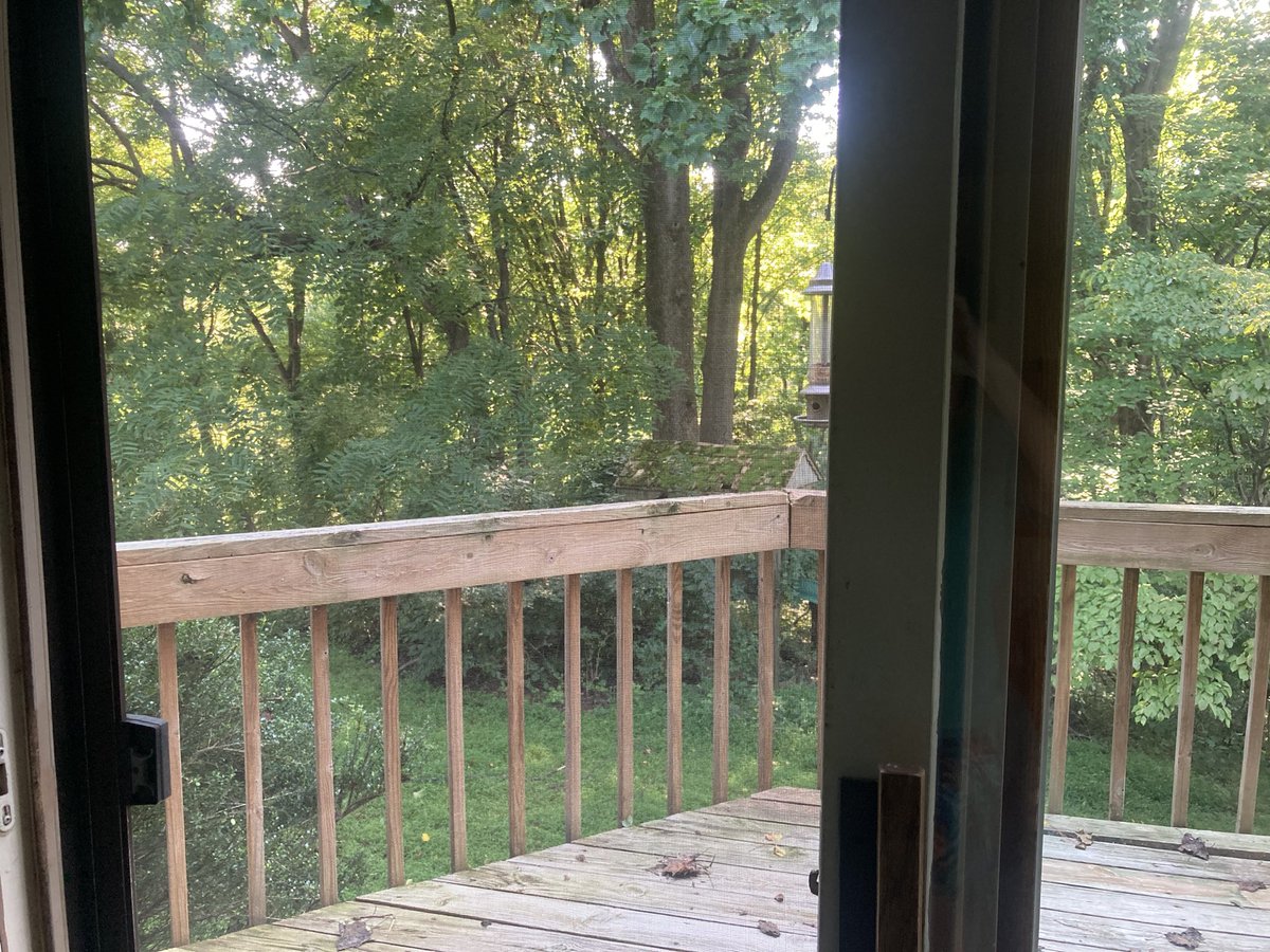livewithmecfs's tweet photo. Windows open today!! So great to feel the comfortable air (really sick of living in a/c), light breeze, see all the green, and hear the birds! #nature365 #JoyinSummer https://t.co/Ql9y3pbiDl