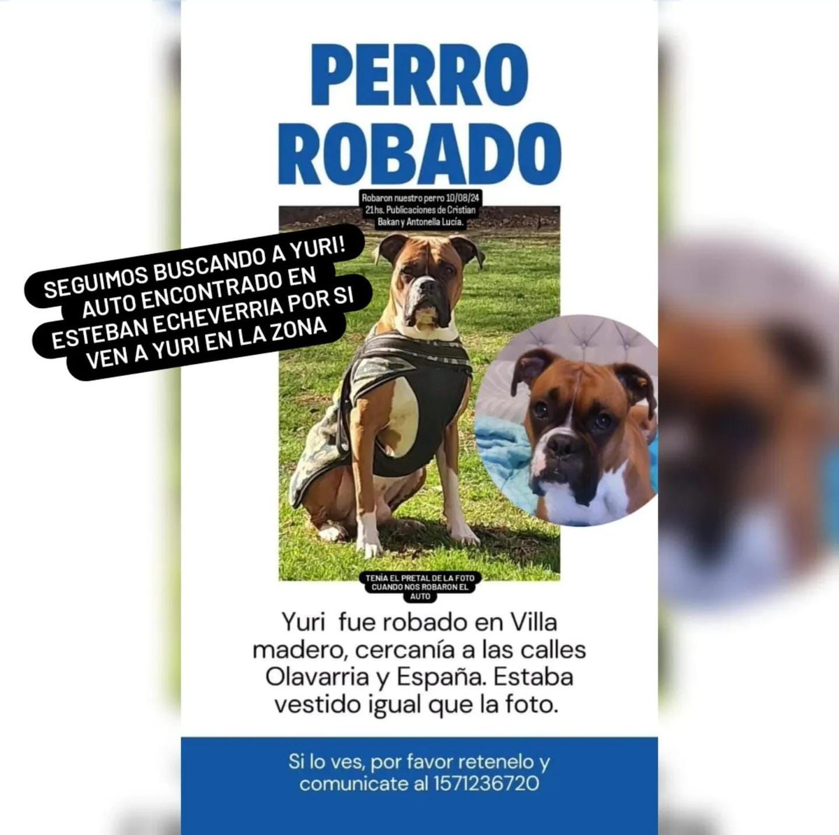 elcampito's tweet photo. URGENTE! DIFUNDIR!!! 🚨🚨🚨
Yuri fue robado ayer 10/8 en Villa madero, cercanía a las calles Olavarria y España. 
Estaba vestido igual que la foto.

Si lo ves, por favor retenelo y comunicate al 1571236720 https://t.co/K39RORyDb1