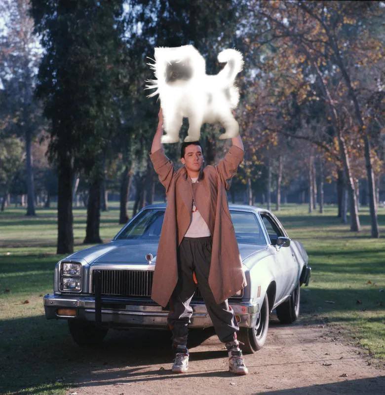 GlowCatEth's tweet photo. $GLOW Cat on ETH 🐈 https://t.co/HFW0X9CBUY