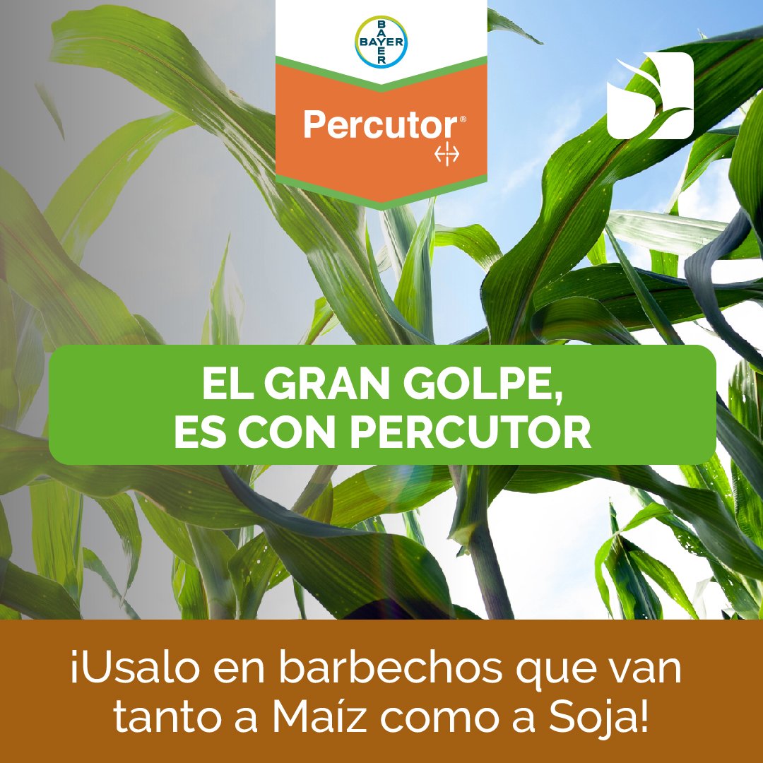 monchoehijos's tweet photo. ¡El gran golpe es con #Percutor de @AgroBayerAR ! 👇🏼
¡Conocé la revolución en la forma de combatir las malezas resistentes! ⛔🌱
El herbicida para soja, maíz que combate y controla las principales malezas de tu barbecho 🕐🌾
#SolucionesBayer
#MonchoMásCerca
#MonchoAsesora https://t.co/MjcU5YdxVi