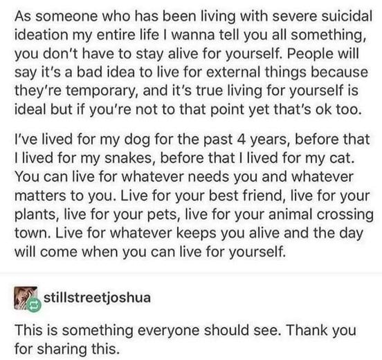 woofknight's tweet image. 