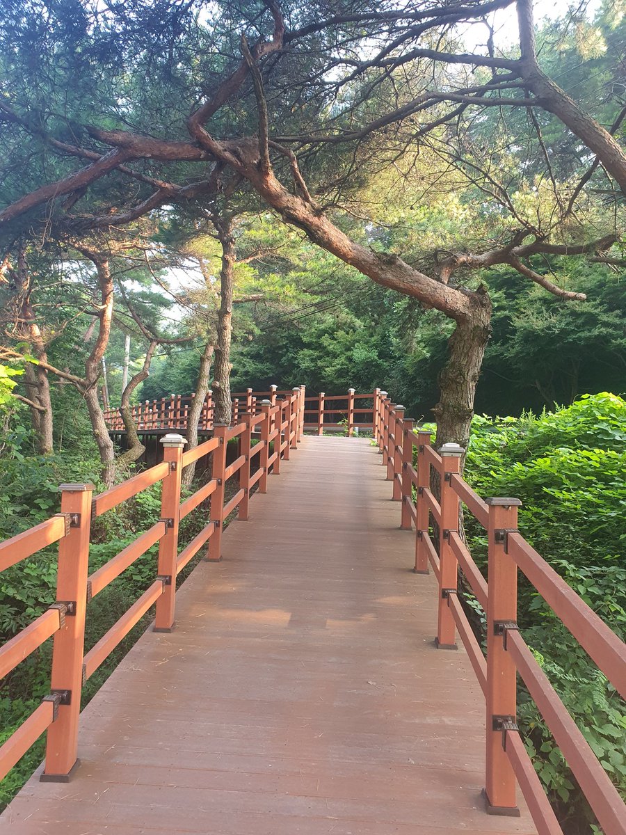 김호중 멋진 목소리~테너 이자 크로스오버 가수
#김호중_세상에빛을내린다
#김호중_마음이따뜻한가수
#KIMHOJOONG 
#金浩仲 
#キムホジュン
#TVAROTTI