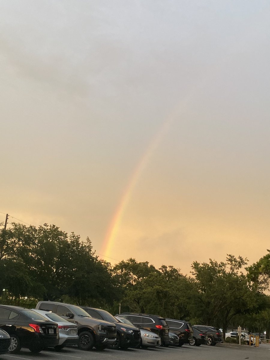 meauxminy's tweet image. #Hellscape