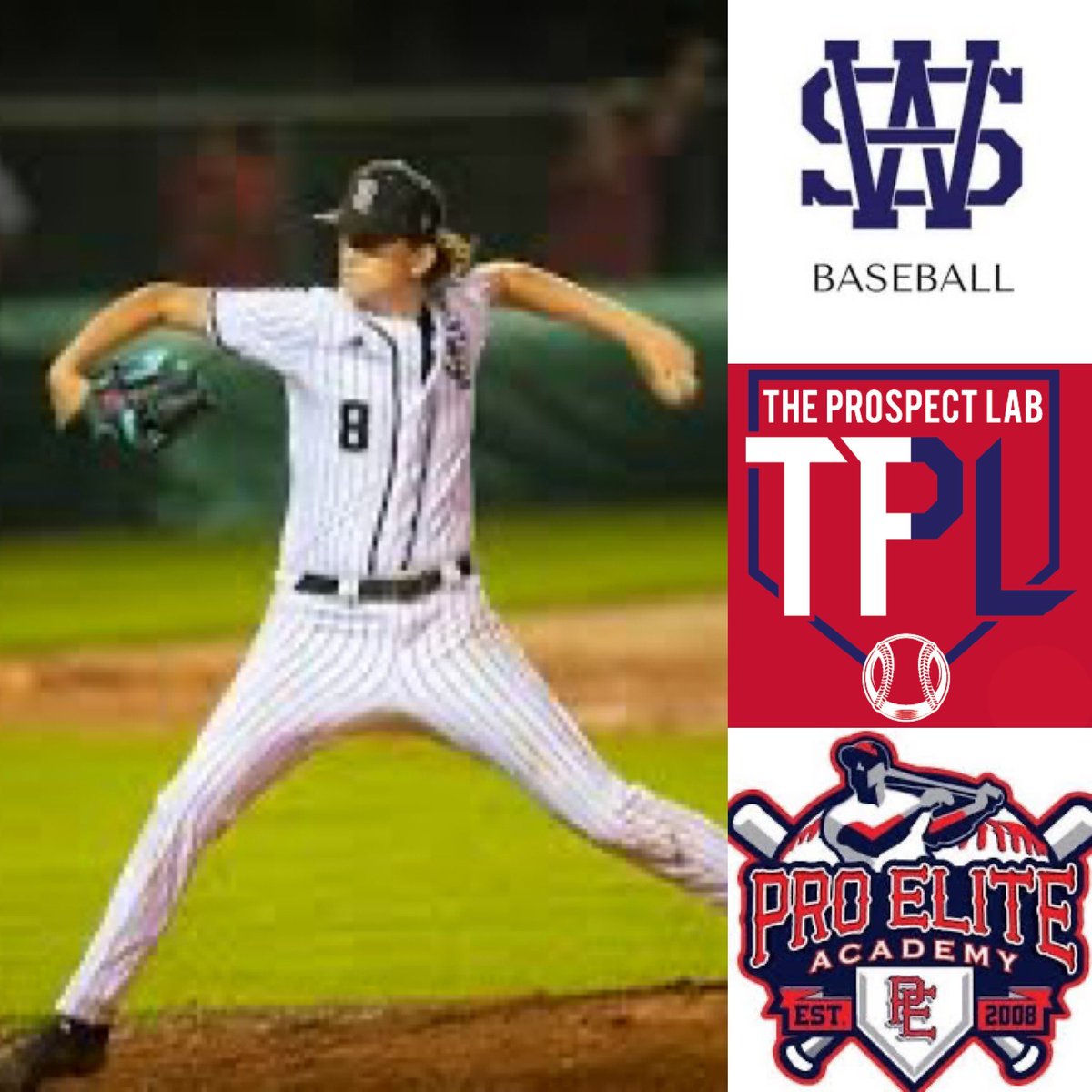 TPL Baseball Development tweet media