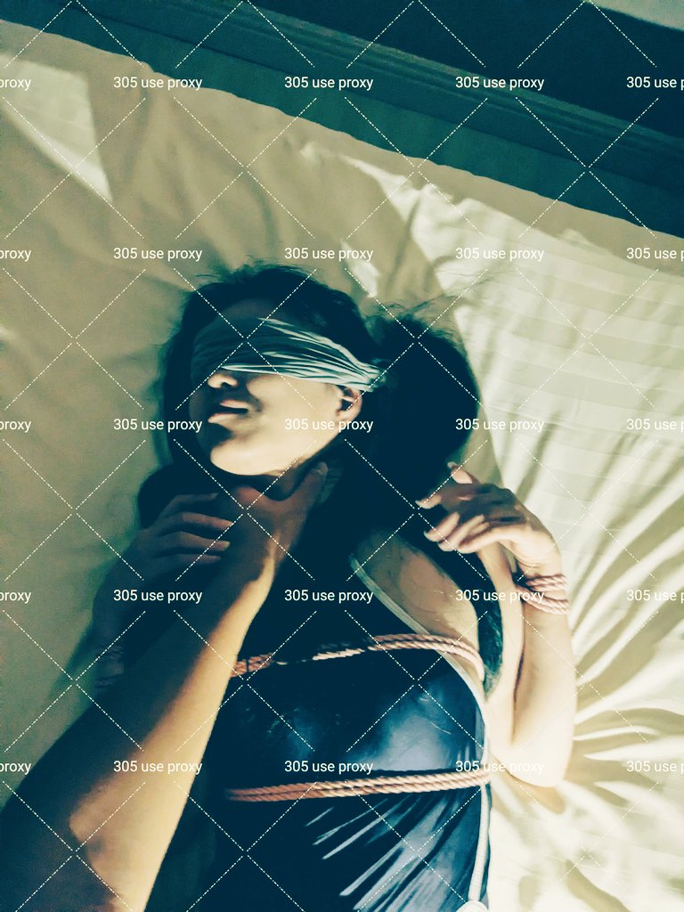 305 Use Proxy tweet media