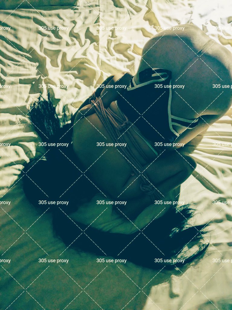 305 Use Proxy tweet media