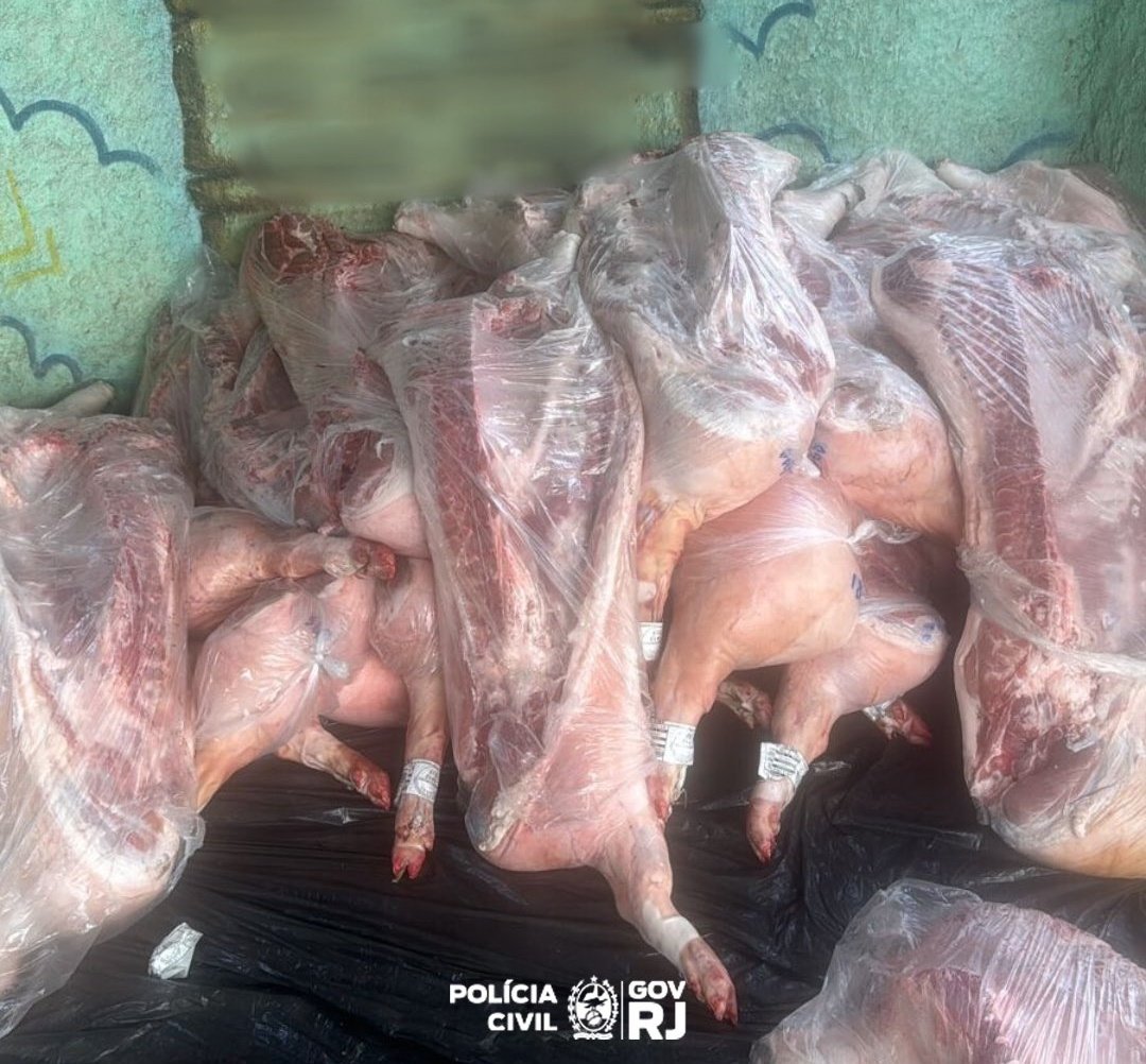 NotciasRio1's tweet photo. #60DP realizou operação, em conjunto com a #PM, para recuperar uma carga de carne na comunidade Barro 3, em Duque de Caxias, na Baixada Fluminense.
Em uma área de mata, um fuzil, dois carregadores e 133 munições foram apreendidos. https://t.co/LHuySOTkMI