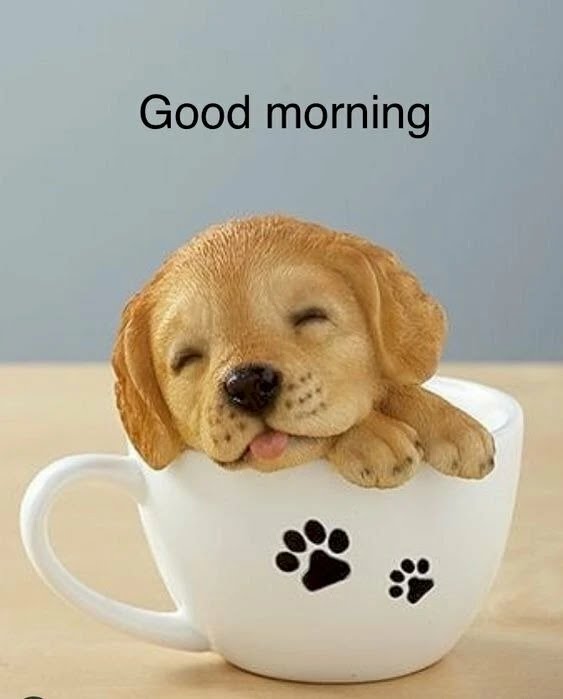Nucuoi_shibi's tweet photo. 🪷❤️Great new day joy
The music and poetry blend 🌞beautifully with each word flying far away
👉🇻🇳Twitter (X) is like a roof
Let's share love together
#com2000 #com2k #thiennguyen https://t.co/BDvam77Rlf