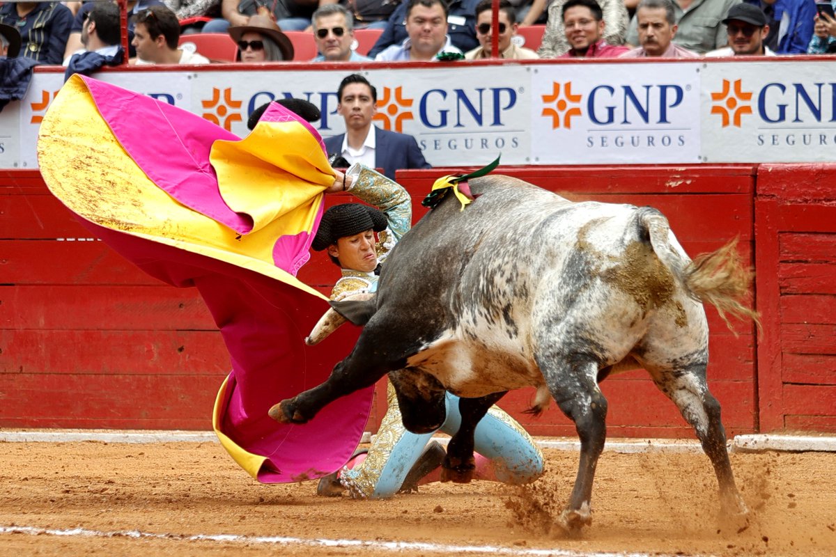 Channel1LA's tweet photo. Toreros y Toreras muestran gran valor por la Afición Taurina en La Plaza México #Madrid #Toros #CDMX https://t.co/xwJmWu1OEd https://t.co/U2sJuFZlc7