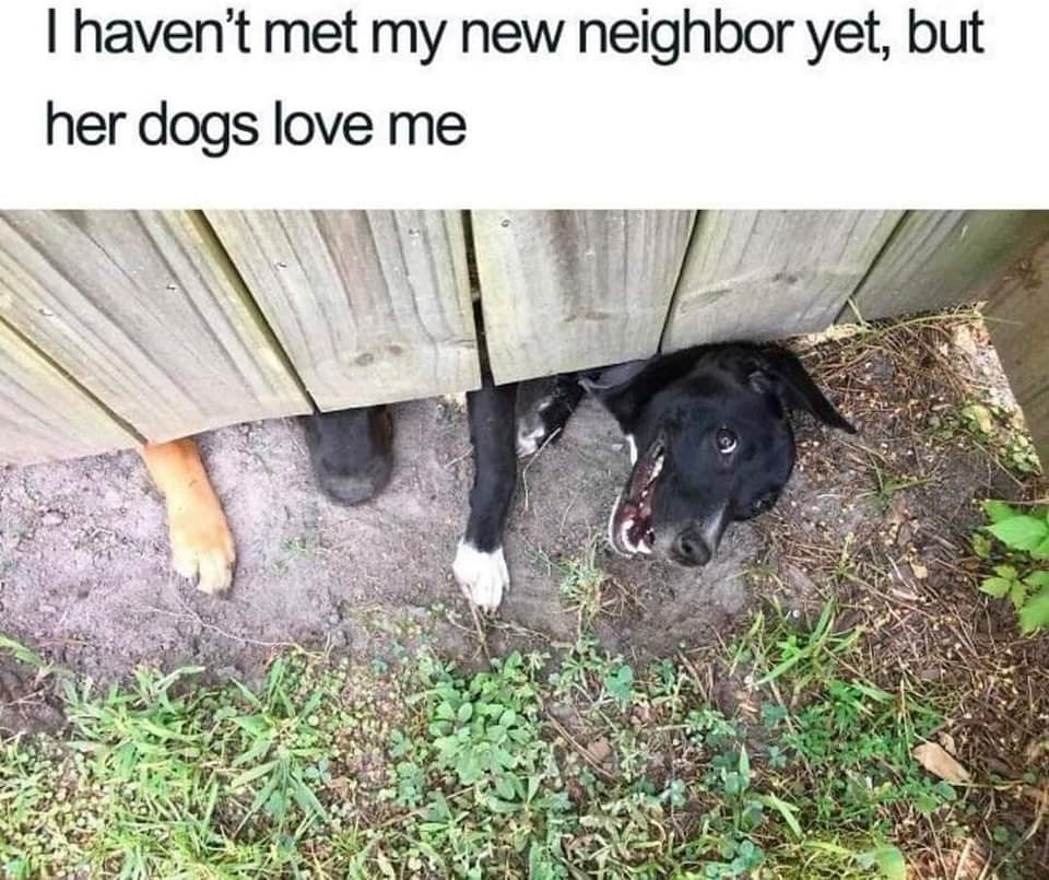 All_Paws_Matter's tweet photo. #dogs #dogshavingfun #dogsarethebest #ilovedogs #dogsarefamily ๐พโค๏ธ https://t.co/SHEuE1K7QL
