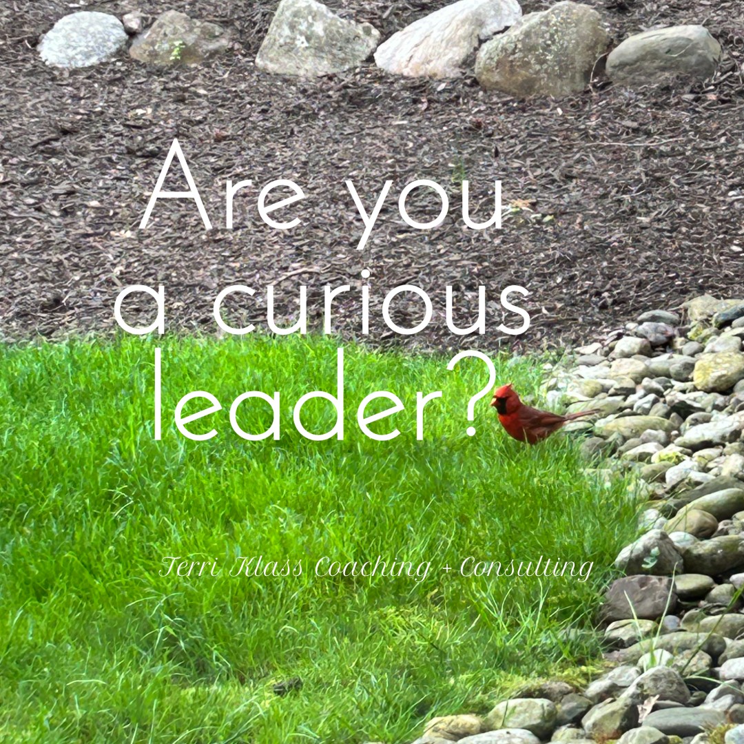 Alli Polin (@allipolin) on Twitter photo New! Are You Leading With Curiosity Or Control? dlvr.it/TBnt6Z via <a href="/TerriKlass/">Terri Klass, ACC, CPCC</a> New! Are You Leading With Curiosity Or Control? dlvr.it/TBnt6Z via <a href="/TerriKlass/">Terri Klass, ACC, CPCC</a>