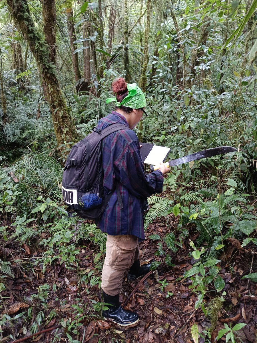 Continuamos con el proyecto #Bolivian_Sounds junto a @fla_montano, para registro de los cantos y sonidos en toda Bolivia.
Está vez nos acompaña Renata Collareta. 
#CienciaConLlajua #WarmiCiencia #CienciaLatina