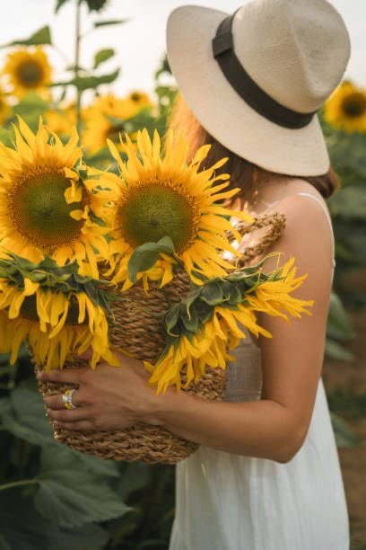 thasanee66's tweet photo. Good morning 🙏💛
💛You will be a beautiful person as long as you see the beauty in others🌼🌻💛
#LoveyDay 🌻🎶🌻🎶🌻💛 https://t.co/5QPRy899Qs