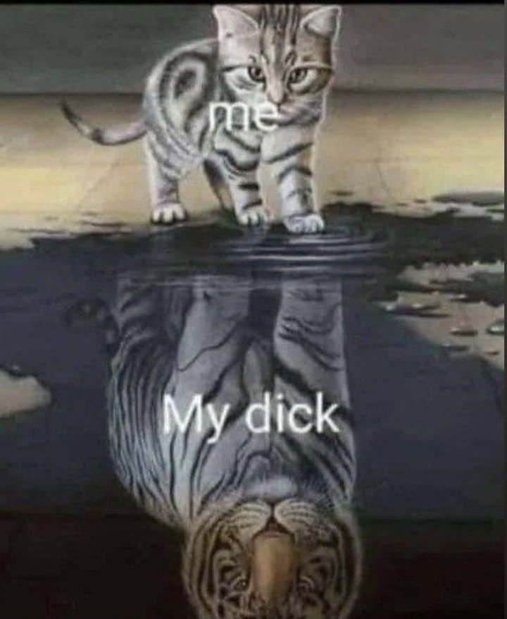 butcher🥵 (@unlbscudsm58201) on Twitter photo 