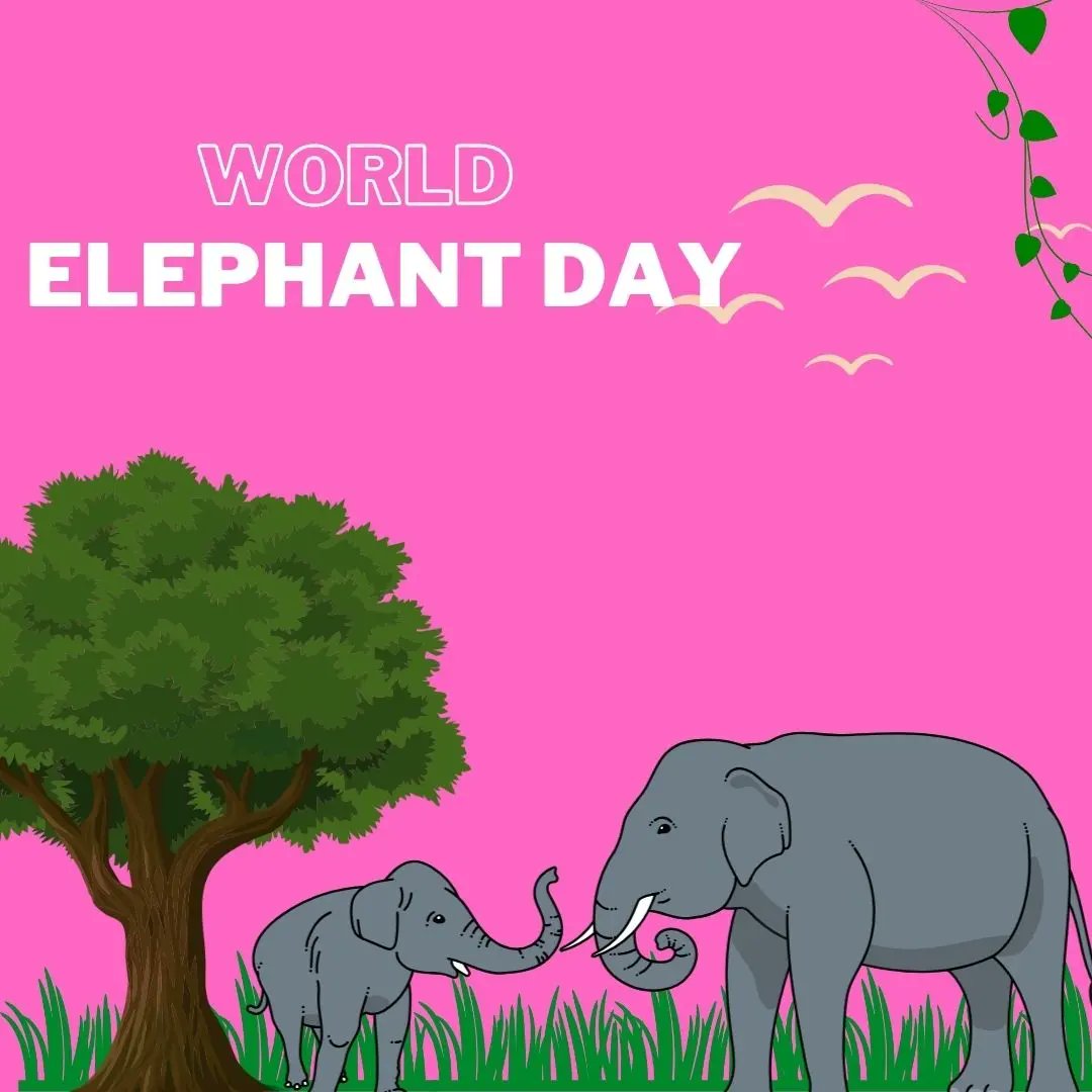 punithrs24055's tweet image. #elephantfun
 * #elephantbaby
 * #elephantfamily
 * #elephantwisdom
 * #elephantpower
 * #elephantsareamazin