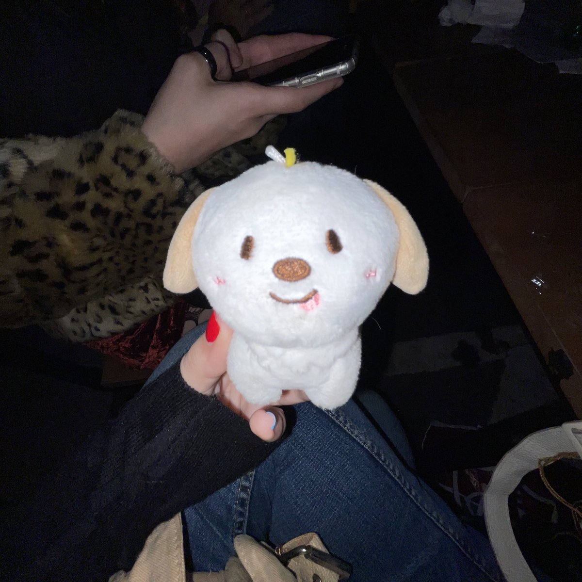 wolfchrn's tweet image. girl’s night 🍻🐶⭐️🥨 
@ju__urin + vivy ♪(๑ᴖ◡ᴖ๑)♪