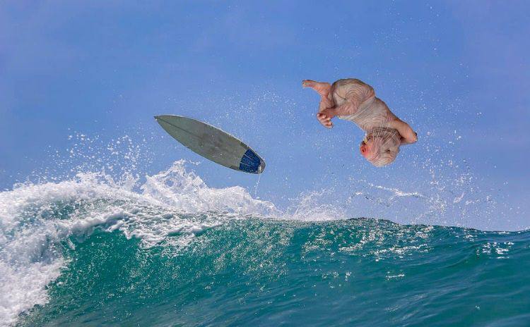 Chilling Naked Mole Rat tweet media