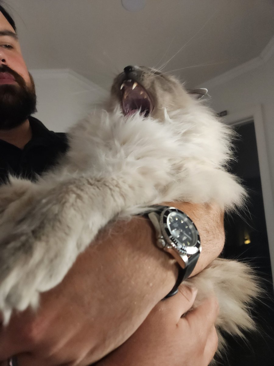 Post stream ollie hehe