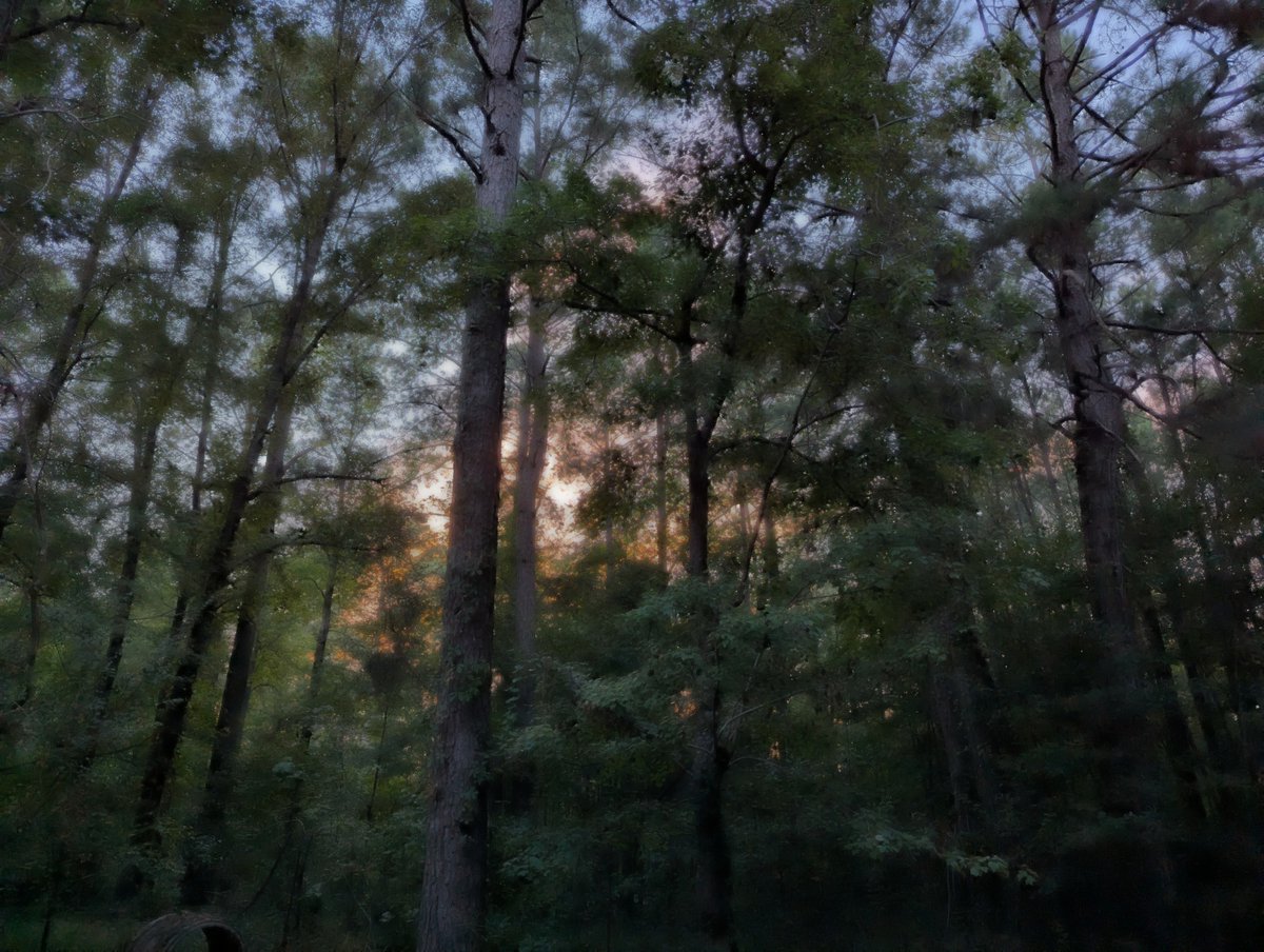 fromthefrost36's tweet photo. π #filtereffect #throughtheeye https://t.co/F8ZRFJLT8F