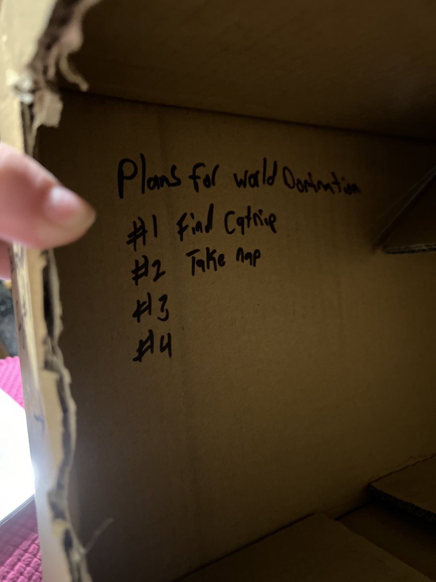 Miss Gevious tweet media