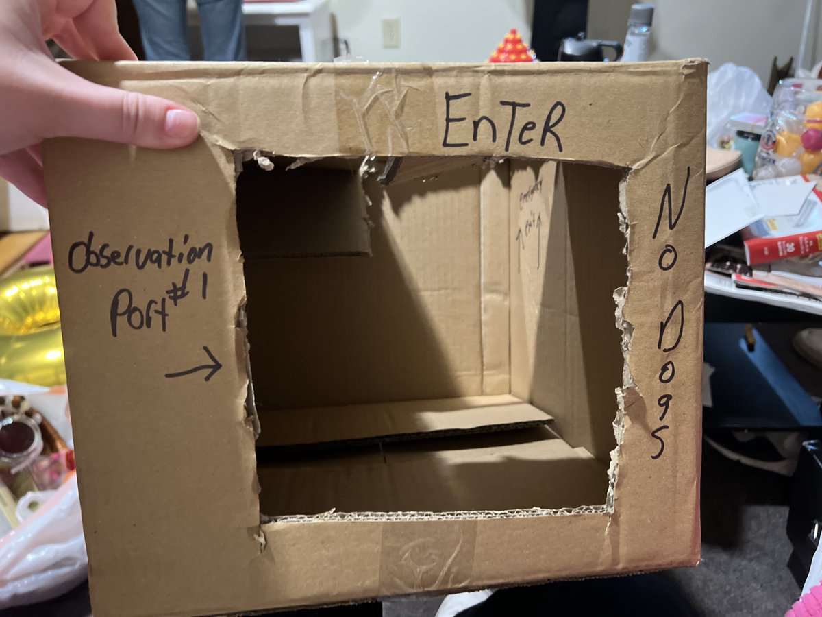 Miss Gevious tweet media