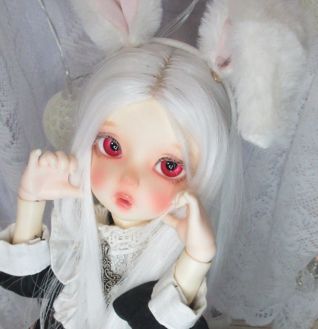 1日遅れちゃいましたが、8月11日、紅葉くんに出会えた記念日でした💍
ずっと憧れていて、初任給で初めてお迎えした子でした✨
出会えた時の感動をまだ忘れられません…✨
今は仕事に大学に大変でなかなか構えてないけれど、ずっと心の支えです。
ありがとう。だいすき。
 #imda30
 #うちの子可愛い