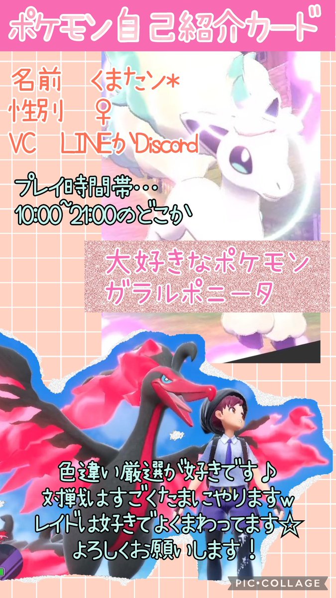 くまさん* tweet media