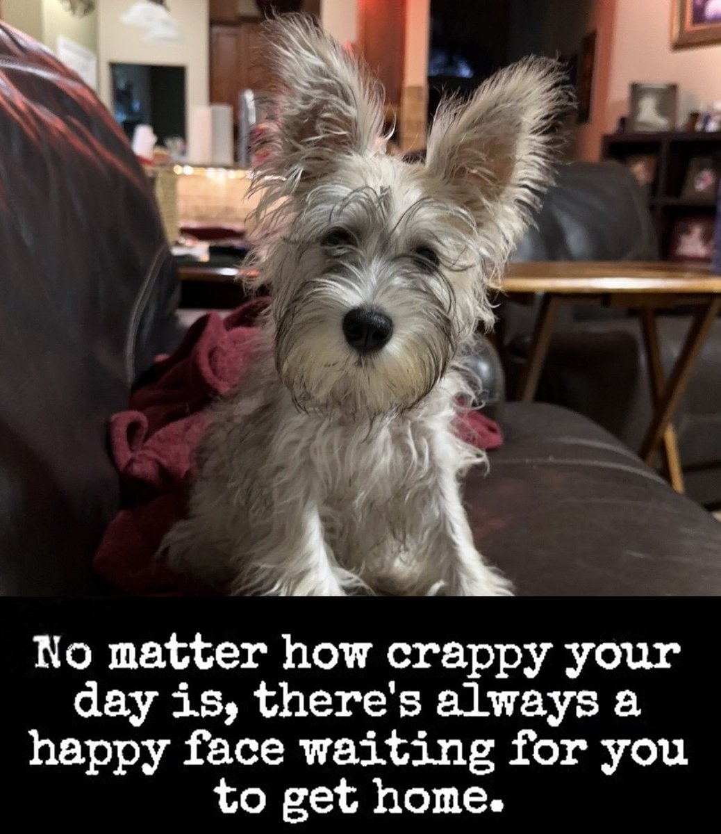 Victor Lopez (@victorshere1) on Twitter photo 