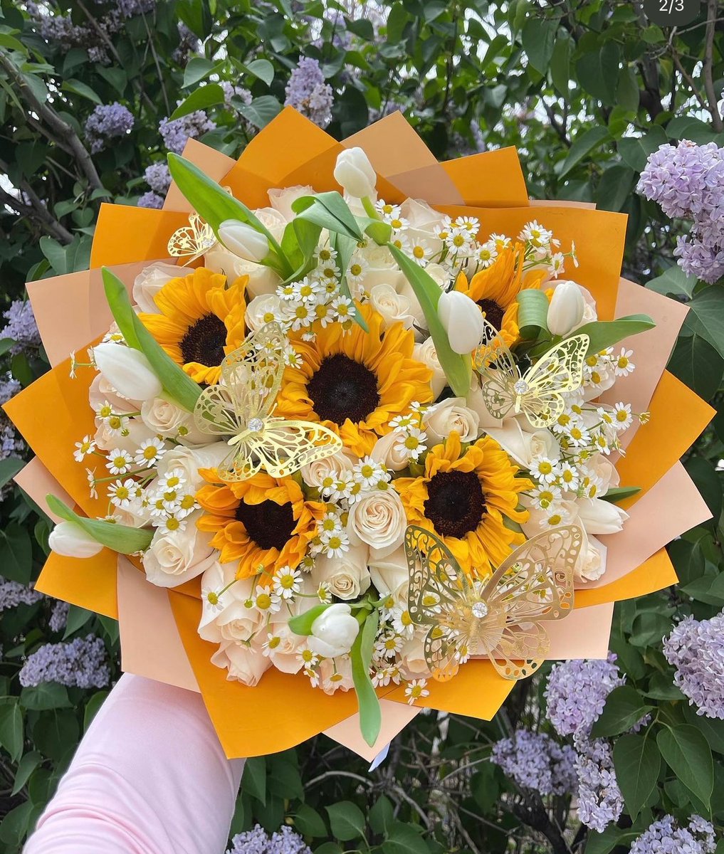 sunflowerchives's tweet photo. Choose one bouquet. https://t.co/8tMFp3RlRW