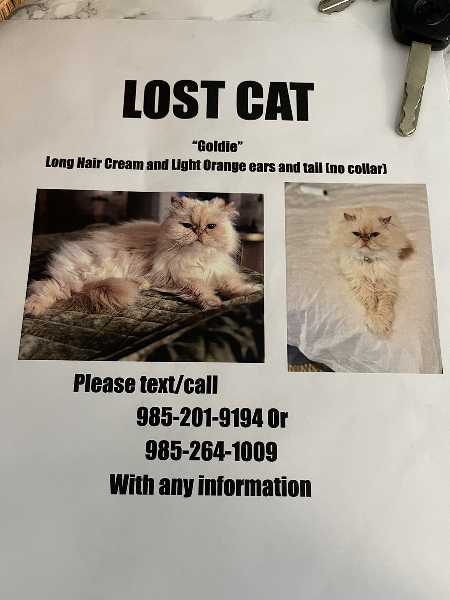 Hey Fontainebleau, Marlyville, Broadmoor folks - keep an eye out for Goldie. Her family has been desperately searching all day and evening. 🙁
