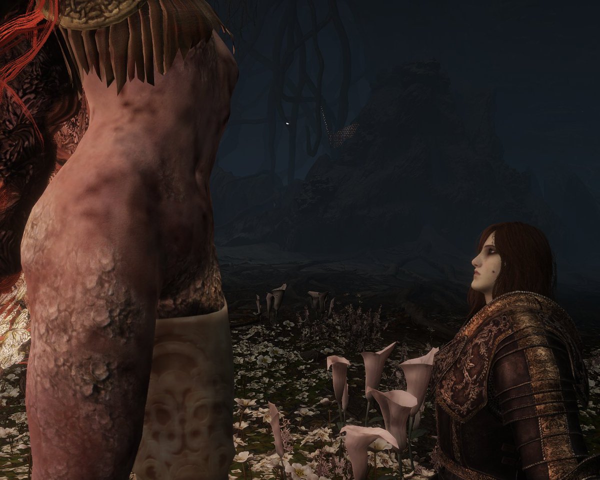 pyrokinesis96's tweet photo. I think about this a lot.

Malenia's lips are literally at face level.
Holy shit. https://t.co/1GgaIxF0sp