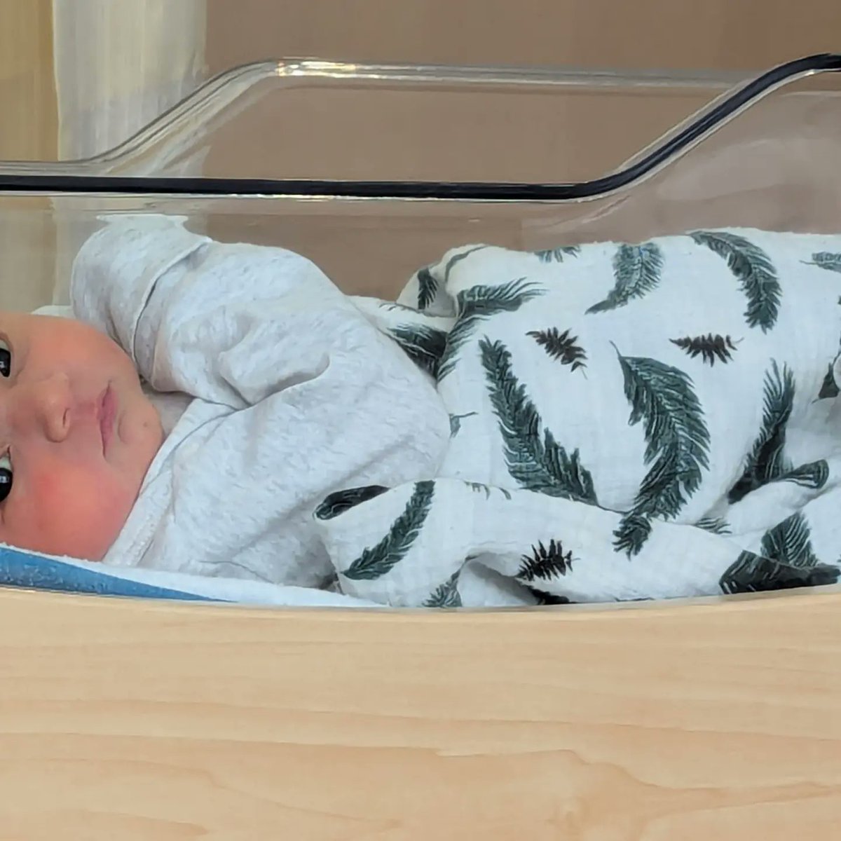 Jake Kulinski tweet media