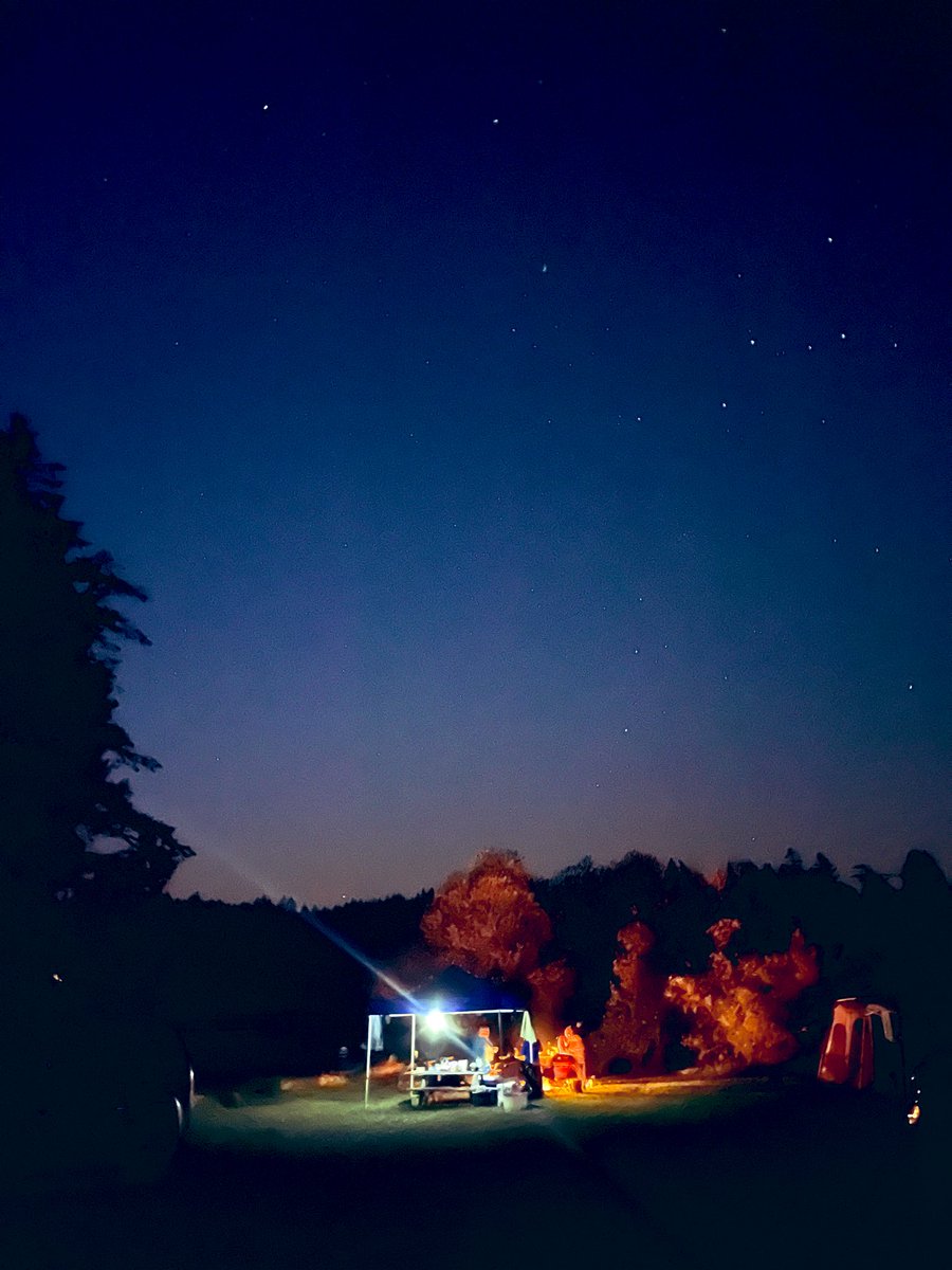 ⭐️💫✨✨💫⭐️ tweet media